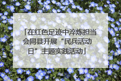 在红色足迹中淬炼担当 会同县开展“民兵活动日”主题实践活动