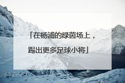在杨浦的绿茵场上，踢出更多足球小将