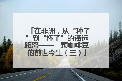 在非洲，从“种子”到“杯子”的遥远距离——一颗咖啡豆的前世今生（三）