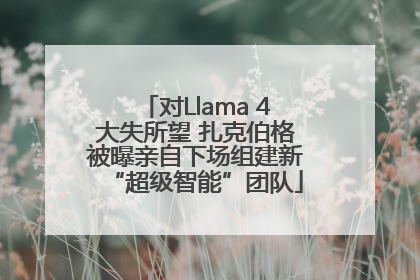 对Llama 4大失所望 扎克伯格被曝亲自下场组建新“超级智能”团队