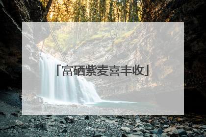 富硒紫麦喜丰收