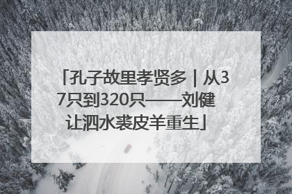 孔子故里孝贤多｜从37只到320只——刘健让泗水裘皮羊重生