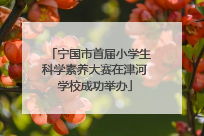 宁国市首届小学生科学素养大赛在津河学校成功举办