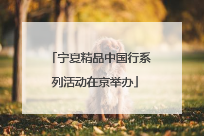 宁夏精品中国行系列活动在京举办