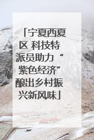 宁夏西夏区 科技特派员助力“紫色经济”酿出乡村振兴新风味