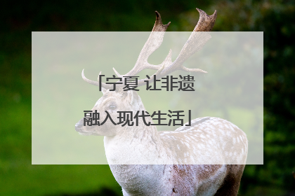 宁夏 让非遗融入现代生活