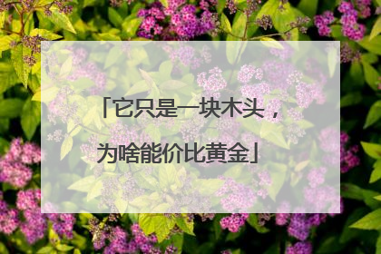 它只是一块木头，为啥能价比黄金