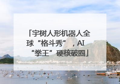 宇树人形机器人全球“格斗秀”，AI“拳王”硬核破圈