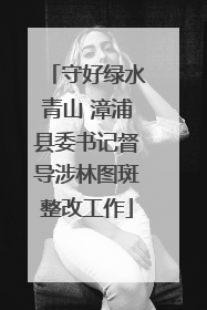 守好绿水青山 漳浦县委书记督导涉林图斑整改工作