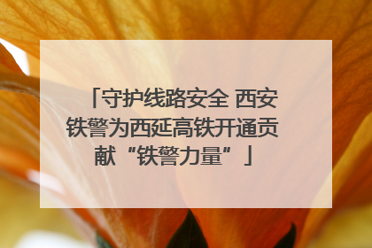 守护线路安全 西安铁警为西延高铁开通贡献“铁警力量”