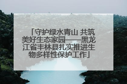守护绿水青山 共筑美好生态家园——黑龙江省丰林县扎实推进生物多样性保护工作