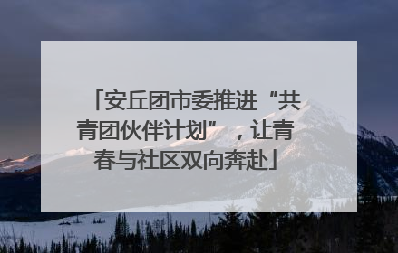 安丘团市委推进“共青团伙伴计划”，让青春与社区双向奔赴