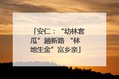安仁：“幼林套瓜”趟新路 “林地生金”富乡亲