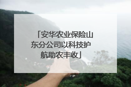 安华农业保险山东分公司以科技护航助农丰收