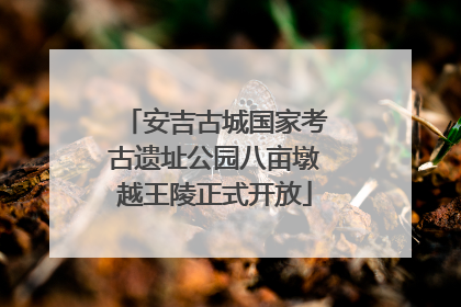 安吉古城国家考古遗址公园八亩墩越王陵正式开放