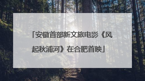 安徽首部新文旅电影《风起秋浦河》在合肥首映