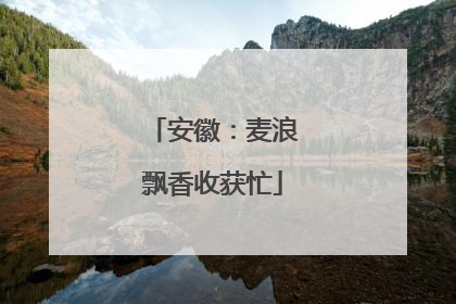 安徽：麦浪飘香收获忙