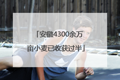 安徽4300余万亩小麦已收获过半