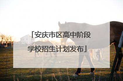 安庆市区高中阶段学校招生计划发布