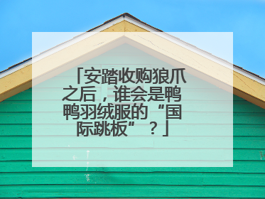 安踏收购狼爪之后，谁会是鸭鸭羽绒服的“国际跳板”？