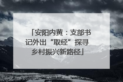 安阳内黄：支部书记外出“取经”探寻乡村振兴新路径
