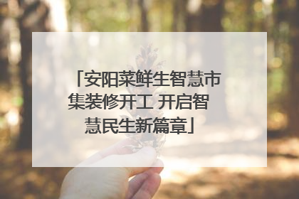 安阳菜鲜生智慧市集装修开工 开启智慧民生新篇章