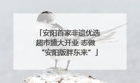 安阳首家非遗优选超市盛大开业 志做“安阳版胖东来”
