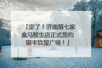 定了！济南第七家盒马鲜生店正式签约银丰玖玺广场！