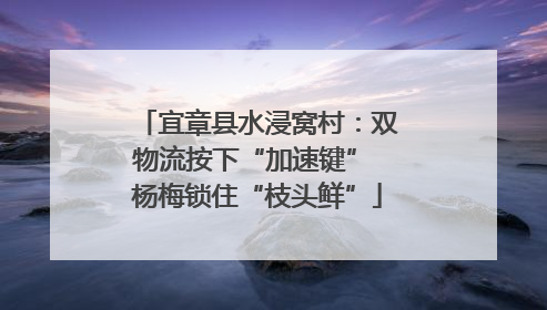 宜章县水浸窝村：双物流按下“加速键” 杨梅锁住“枝头鲜”