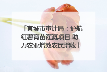 宜城市审计局：护航红薯育苗灌溉项目 助力农业增效农民增收