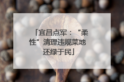宜昌点军：“柔性”清理违规菜地 还绿于民