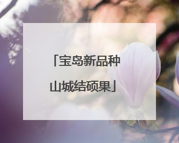 宝岛新品种 山城结硕果