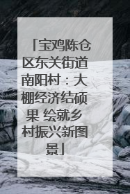 宝鸡陈仓区东关街道南阳村：大棚经济结硕果 绘就乡村振兴新图景
