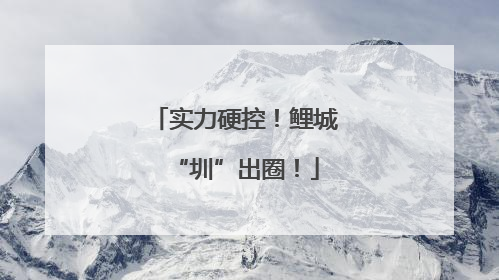 实力硬控！鲤城“圳”出圈！