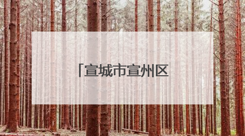 宣城市宣州区：双节同庆 “粽”享欢乐
