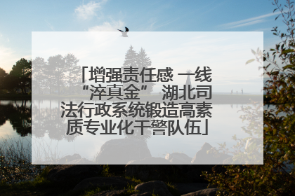 增强责任感 一线“淬真金” 湖北司法行政系统锻造高素质专业化干警队伍