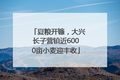 夏粮开镰，大兴长子营镇近6000亩小麦迎丰收