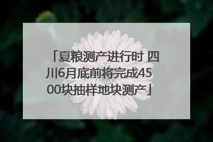 夏粮测产进行时 四川6月底前将完成4500块抽样地块测产