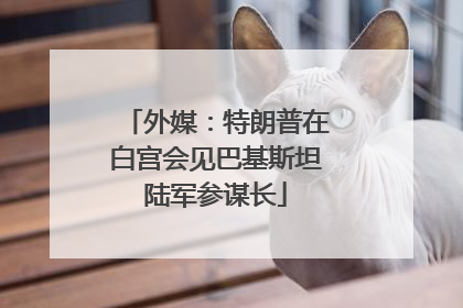 外媒：特朗普在白宫会见巴基斯坦陆军参谋长