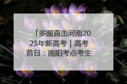 多图直击河南2025年新高考｜高考首日：南阳考点考生信心满满迎战