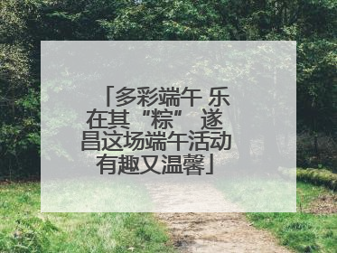 多彩端午 乐在其“粽” 遂昌这场端午活动有趣又温馨