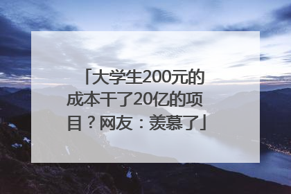 大学生200元的成本干了20亿的项目？网友：羡慕了