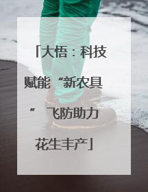大悟：科技赋能“新农具” 飞防助力花生丰产
