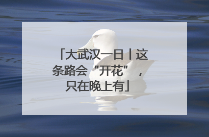 大武汉一日丨这条路会“开花”，只在晚上有