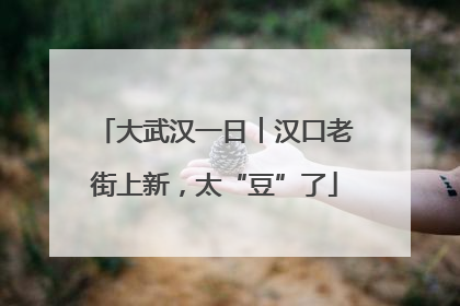 大武汉一日︱汉口老街上新，太“豆”了