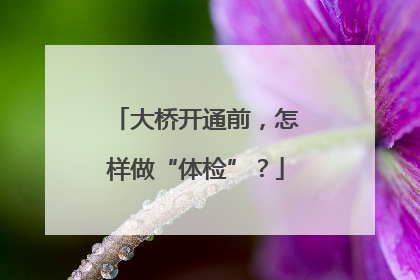 大桥开通前，怎样做“体检”？