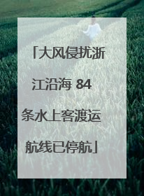 大风侵扰浙江沿海 84条水上客渡运航线已停航