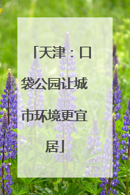 天津：口袋公园让城市环境更宜居
