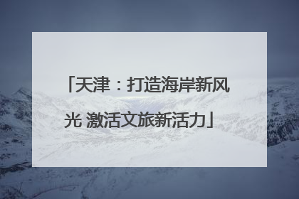 天津：打造海岸新风光 激活文旅新活力