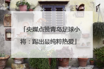 央媒点赞青岛足球小将：踢出最纯粹热爱
